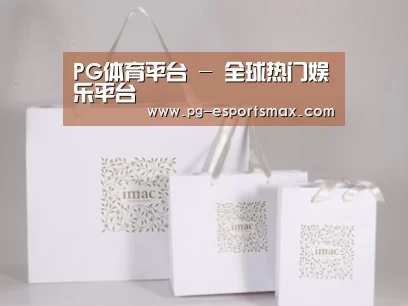 项目名称十一