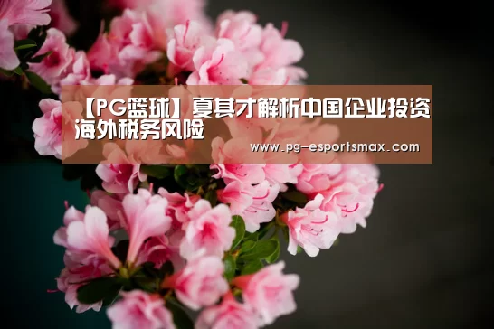 PG篮球