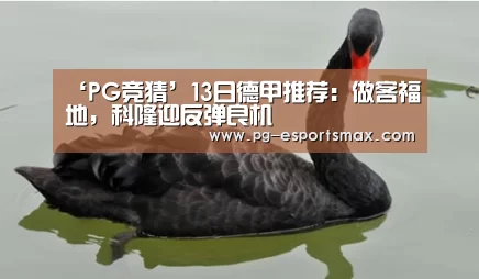 ‘PG竞猜’13日德甲推荐:做客福地,科隆迎反弹良机(图3) PG竞猜