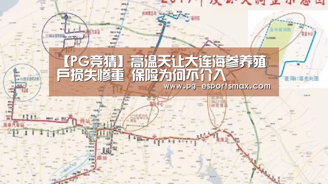 【PG竞猜】高温天让大连海参养殖户损失惨重 保险为何不介入(图1) PG体育