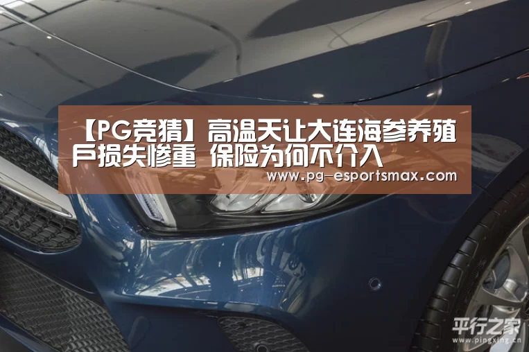 【PG竞猜】高温天让大连海参养殖户损失惨重 保险为何不介入(图2) PG体育