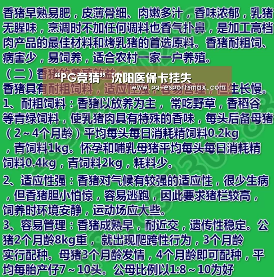 “PG竞猜”沈阳医保卡挂失(图1) PG足球